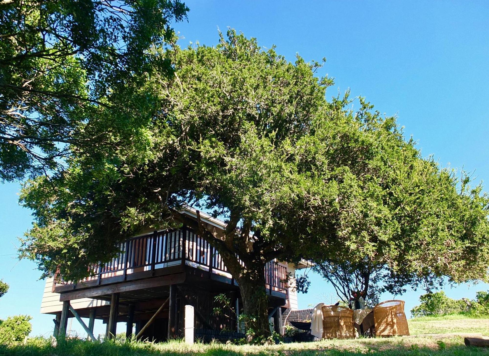 Soutelande Country Stay - Close To 1#Beach In Pe Puerto Elizabeth Exterior foto
